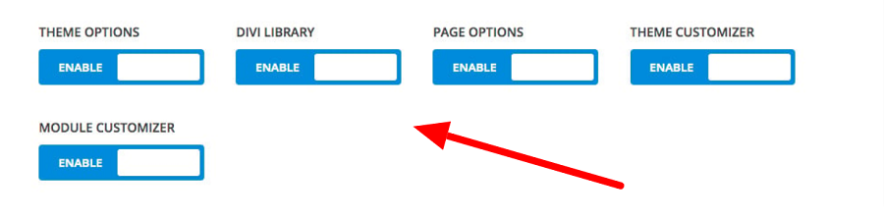 divi role manager restrictions