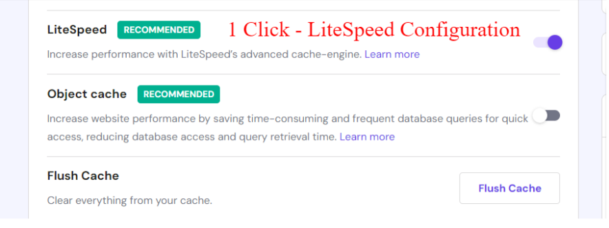 1 click litespeed configuration feature