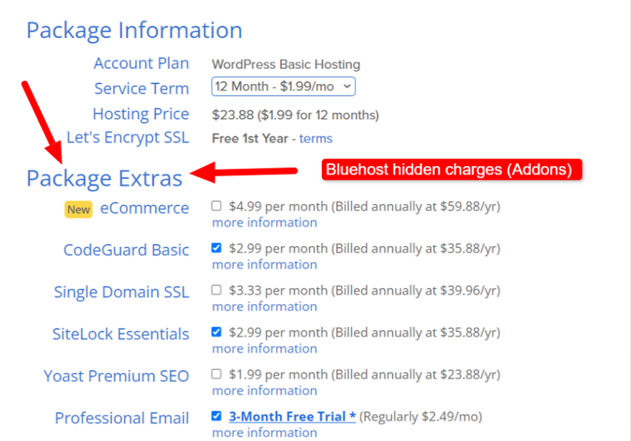 Bluehost hidden charges comes with paid addons