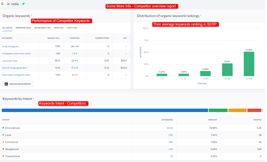 some more info - competitor overview report