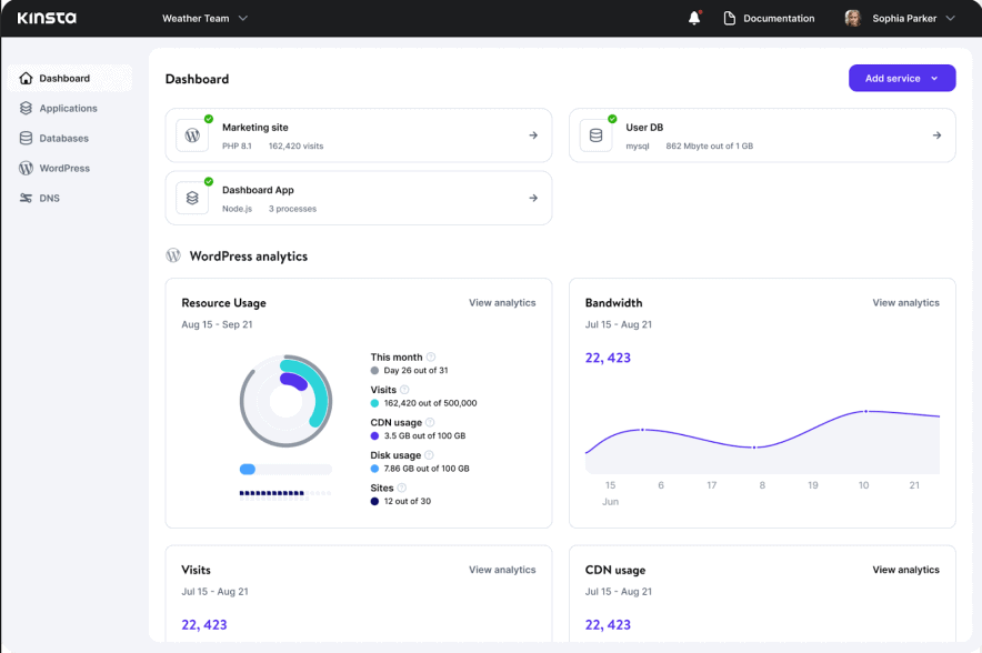 kinsta dashboard