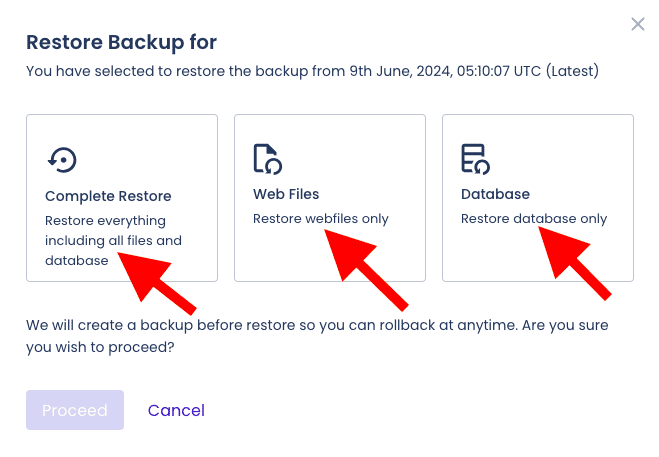 cloudways backup options