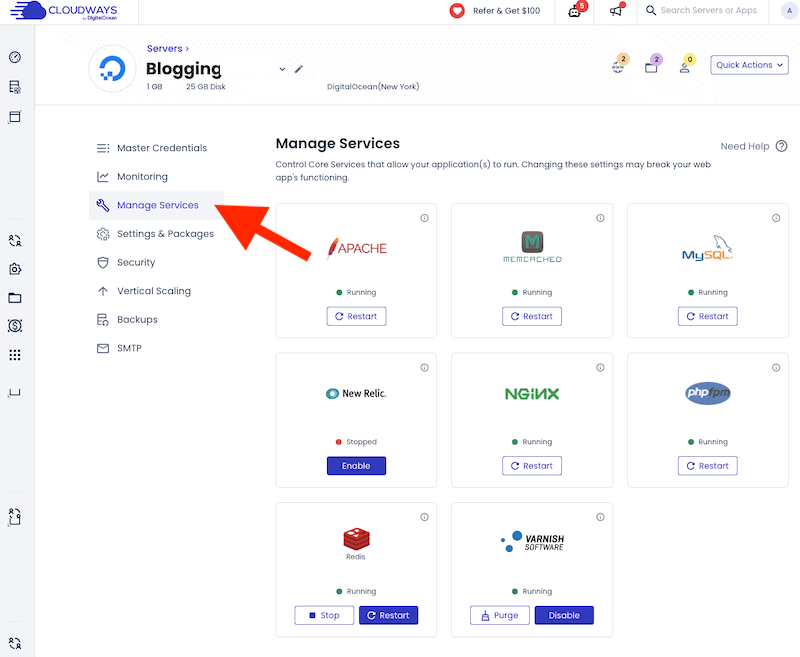 cloudways manage service