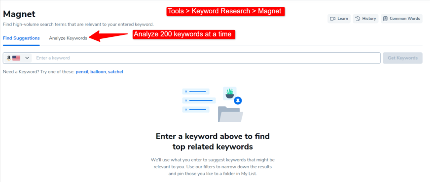 helium 10 - magnet keyword research tool